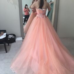 ザ・ハウス愛野の写真24枚目