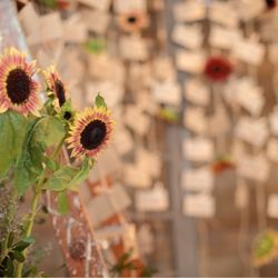 BAYSIDE GEIHINKAN VERANDA minatomiraiの写真11枚目