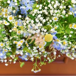 アニヴェルセル 豊洲の写真26枚目