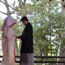 スカーサの写真13枚目