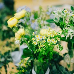 メゾン プルミエールの写真14枚目