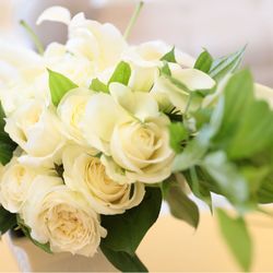 ノートルダム神戸の写真21枚目