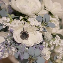 トリフォーリアNAGOYAの写真8枚目