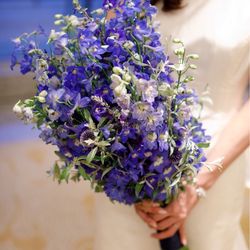 パレスホテル東京の写真12枚目