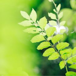 メゾン プルミエールの写真22枚目