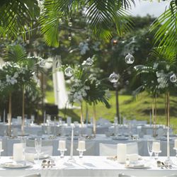 サイレントクラブの写真5枚目