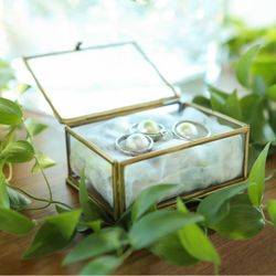 ザ・ミーツ マリーナテラスの写真24枚目