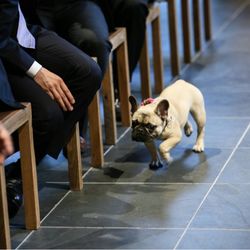 TRUNK HOTELの写真28枚目