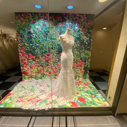 パラッツォ ドゥカーレ 麻布の写真18枚目