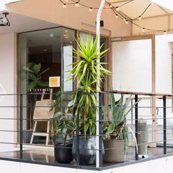 中之島テラス # AND MEの写真10枚目