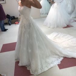 ル・センティフォーリア 天保山の写真1枚目