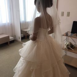 リビエラ逗子マリーナの写真17枚目