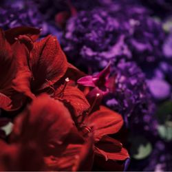 グランド ハイアット 東京の写真4枚目