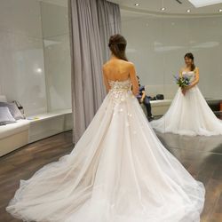 パラッツォ ドゥカーレ 麻布の写真24枚目