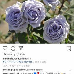 アクアガーデン迎賓館 岡崎の写真10枚目