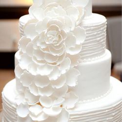 グラストニアの写真24枚目