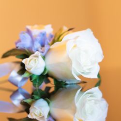 ジュエル・バイ・ザ・シーの写真5枚目