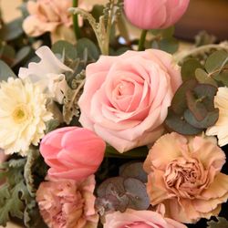 エスプリ・ド・ナチュールの写真24枚目