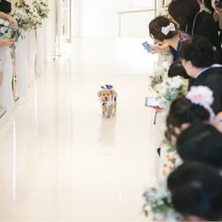 AILE d'ANGE NAGOYAの写真26枚目