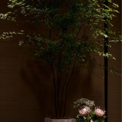 アンダーズ東京の写真4枚目