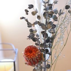 マウロ・アネーラの写真11枚目