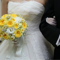 キャメロットヒルズの写真27枚目