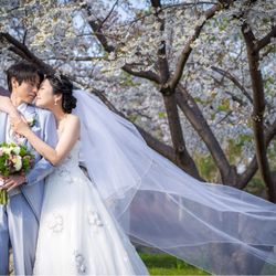厳島神社の写真7枚目