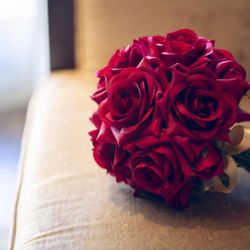 カノビアーノ 福岡の写真26枚目