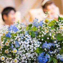 アニヴェルセル 豊洲の写真12枚目