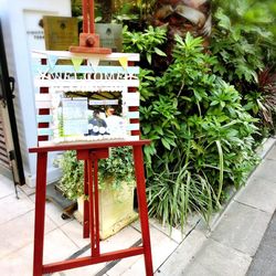 表参道TERRACEの写真15枚目