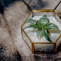 ザ・シーズンズの写真23枚目