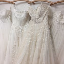 パラッツォ ドゥカーレ 麻布の写真31枚目