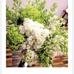 ラシック アンジュールの写真17枚目