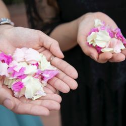 リバースイート京都鴨川迎賓館の写真2枚目