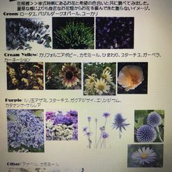 ザ ストリングス 表参道の写真8枚目