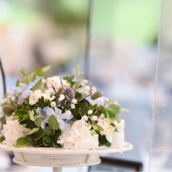 ララシャンス 博多の森の写真33枚目