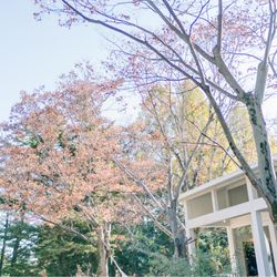 迎賓館の写真9枚目