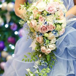 アルカンシエル ベリテ 大阪の写真25枚目