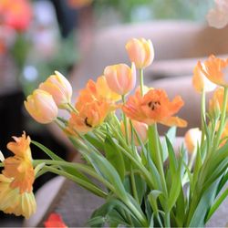 ザ・ガーデンオリエンタル大阪の写真21枚目