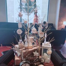 カノビアーノ 福岡の写真14枚目