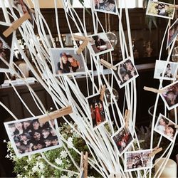 アンジェローブ の写真21枚目