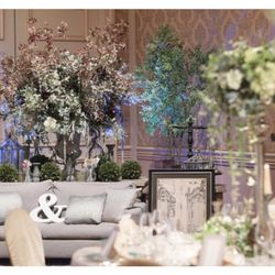 ベルヴィ アズ グレイスの写真15枚目