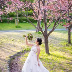 厳島神社の写真8枚目
