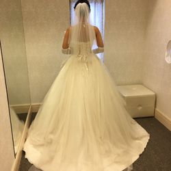 アートグレイス ネクスト アシヤの写真30枚目