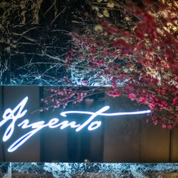 アルジェントの写真23枚目