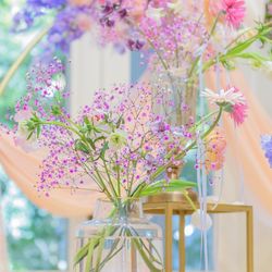 ponc__wdさんの披露宴・挙式カバー写真