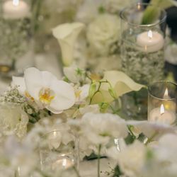 ohk_wd7さんの披露宴・挙式カバー写真