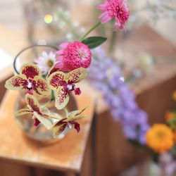 ns_wd0713_ambさんの披露宴・挙式カバー写真