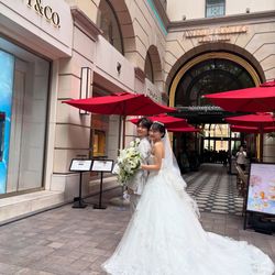 0204_tmさんの披露宴・挙式カバー写真