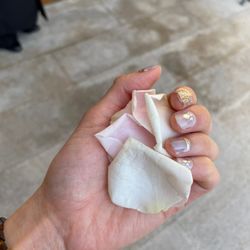 青山セントグレース大聖堂の写真5枚目